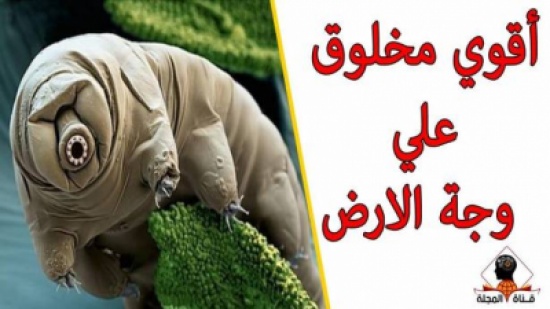 بالفيديو: تعرف على أقوى مخلوق على وجه الأرض..لن تصدق ما ستراه !! بالفيديو: تعرف على أقوى مخلوق على وجه الأرض..لن تصدق ما ستراه !!