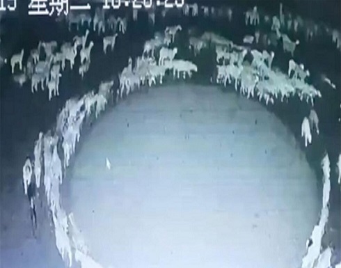 ظاهرة حيّرت الكثيرين منذ أسبوعين... هذا حلّ لغزها! ظاهرة حيّرت الكثيرين منذ أسبوعين... هذا حلّ لغزها!