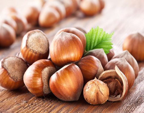 عليكم بالبندق.. الخيار الأمثل لوجباتكم الخفيفة! عليكم بالبندق.. الخيار الأمثل لوجباتكم الخفيفة!