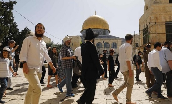 عشرات المستوطنين يجددون اقتحاماتهم للمسجد الأقصى عشرات المستوطنين يجددون اقتحاماتهم للمسجد الأقصى
