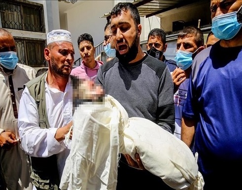 "علماء فلسطين" تدعو لإقامة صلاة الغائب على أرواح شهداء غزة "علماء فلسطين" تدعو لإقامة صلاة الغائب على أرواح شهداء غزة