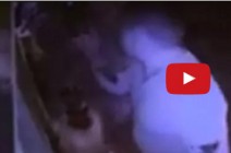 بالفيديو.. لحظة طرد صاحب مطعم رجل وزوجته بسبب الحساب