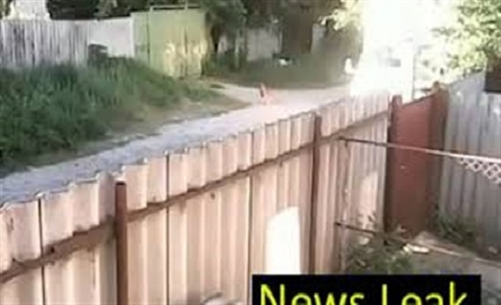 كلبان يفتكان بأحد المارة ويسقطانه مصابا (فيديو) كلبان يفتكان بأحد المارة ويسقطانه مصابا (فيديو)