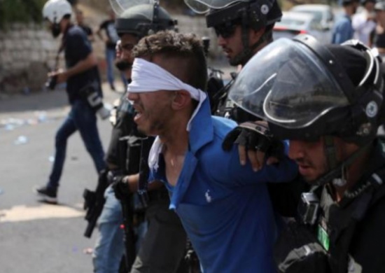 الاحتلال يعتقل 431 فلسطينيا في شهر الاحتلال يعتقل 431 فلسطينيا في شهر