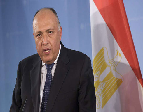وزير الخارجية المصري: لا حلول عسكرية لأزمتي سوريا وليبيا وزير الخارجية المصري: لا حلول عسكرية لأزمتي سوريا وليبيا