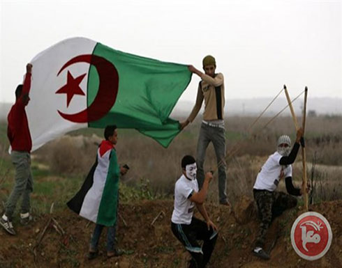 الجزائر تدعو الأمم المتحدة لحماية الفلسطينيين الجزائر تدعو الأمم المتحدة لحماية الفلسطينيين