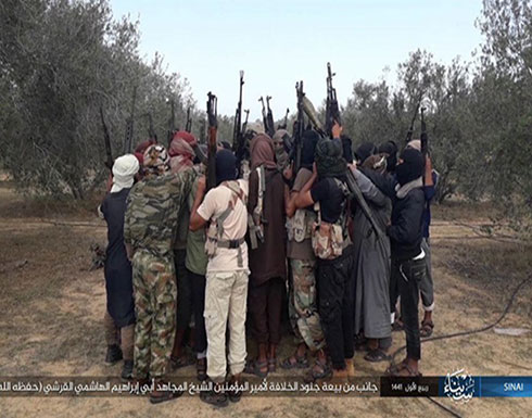 "ولاية سيناء" يبايع زعيم تنظيم الدولة الجديد "ولاية سيناء" يبايع زعيم تنظيم الدولة الجديد