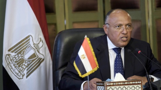 مصر تنفي نيتها الانخراط في الصراع السوري مصر تنفي نيتها الانخراط في الصراع السوري