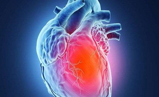 لماذا لا يُصاب القلب بالسرطان؟ لماذا لا يُصاب القلب بالسرطان؟