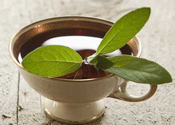 فوائد المليسة