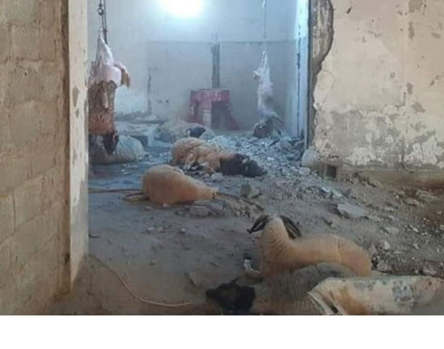 صور : اضاحي العيد آخر ضحايا حفتر في قصفه على طرابلس صور : اضاحي العيد آخر ضحايا حفتر في قصفه على طرابلس