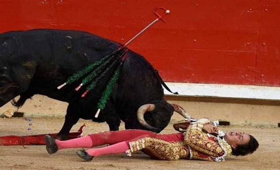 بالفيديو... ثور يخلع فروة رأس مصارع ثيران بالفيديو... ثور يخلع فروة رأس مصارع ثيران
