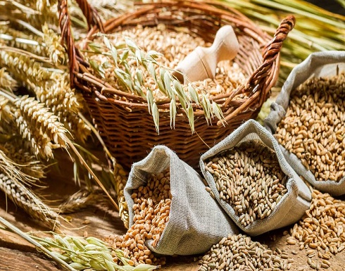 من القاهرة إلى إسلام آباد.. الدول تكثف مشترياتها من الغذاء تخوفا من كورونا من القاهرة إلى إسلام آباد.. الدول تكثف مشترياتها من الغذاء تخوفا من كورونا