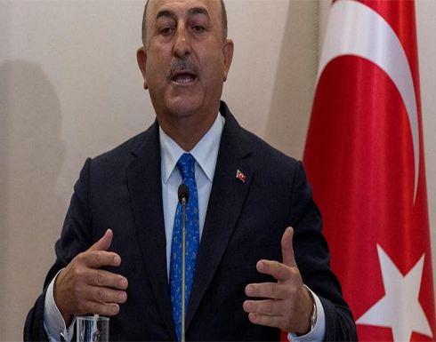أنقرة: تنديد السويد بحادثة تعليق دمية لأردوغان ليس كافيا أنقرة: تنديد السويد بحادثة تعليق دمية لأردوغان ليس كافيا