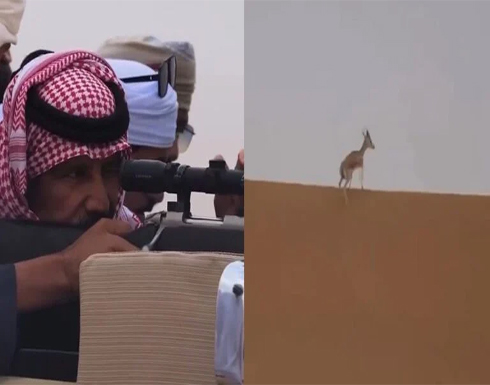 لحظة اصطياد الفنان خالد عبد الرحمن لغزالٍ .. بالفيديو لحظة اصطياد الفنان خالد عبد الرحمن لغزالٍ .. بالفيديو