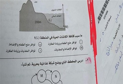 مصر .. صاحبة "أغرب واقعة غش" تروي ما حصل معها! مصر .. صاحبة "أغرب واقعة غش" تروي ما حصل معها!
