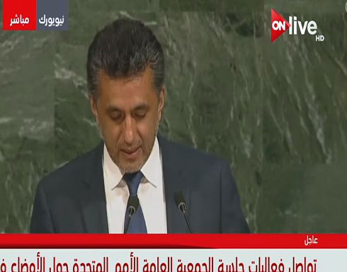 مندوب بوليفيا: مجلس الأمن فشل في حل قضية فلسطين بسبب حق الفيتو مندوب بوليفيا: مجلس الأمن فشل في حل قضية فلسطين بسبب حق الفيتو