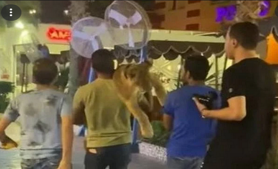 مصر.. القبض على 3 أشخاص بحوزتهم أسد مصر.. القبض على 3 أشخاص بحوزتهم أسد