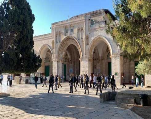 مستوطنون يجددون اقتحامهم للأقصى بحماية الاحتلال مستوطنون يجددون اقتحامهم للأقصى بحماية الاحتلال