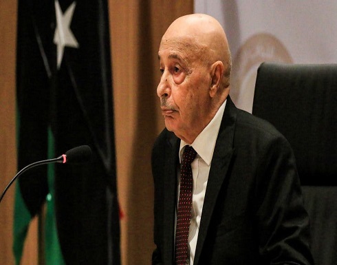 البرلمان الليبي: نطالب بدور عربي لمواجهة الغزو التركي البرلمان الليبي: نطالب بدور عربي لمواجهة الغزو التركي