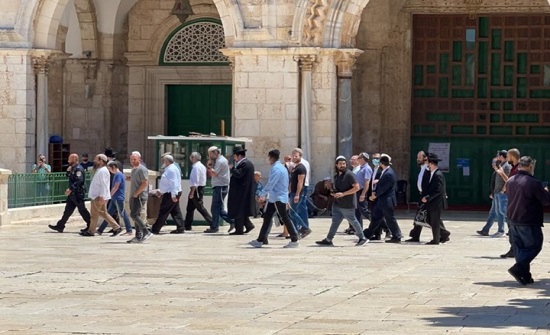 مستوطنون يقتحمون الأقصى واعتقالات جديدة بالضفة المحتلة مستوطنون يقتحمون الأقصى واعتقالات جديدة بالضفة المحتلة