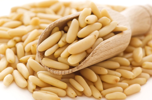 الصنوبر: منشط للدورة الدموية في الدماغ ويعالج مرض الرعاش