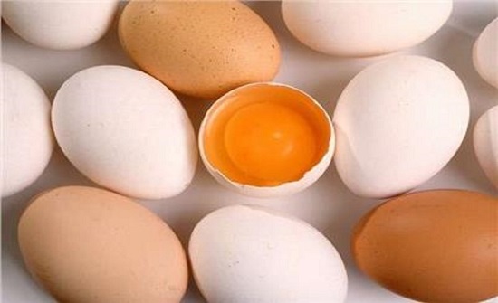 قطرات الأنف من بيض الدجاج تقي من كورونا قطرات الأنف من بيض الدجاج تقي من كورونا