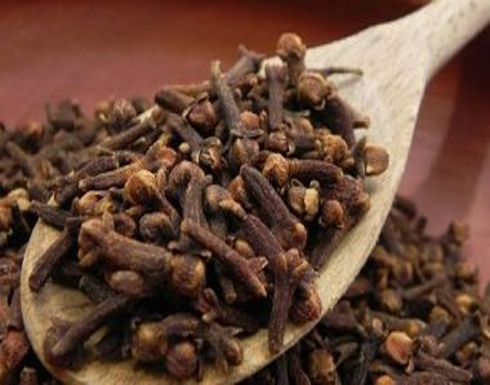 فوائد القرنفل تعزيز المناعة والجهاز التنفسى فوائد القرنفل تعزيز المناعة والجهاز التنفسى