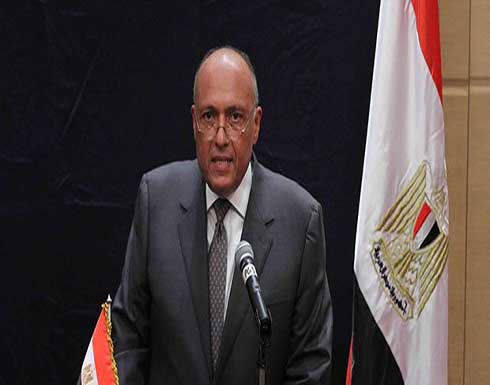 شكري : هناك مصالح متضاربة داخل مجلس الأمن والبعض يتردد في مناقشة قضايا المياه شكري : هناك مصالح متضاربة داخل مجلس الأمن والبعض يتردد في مناقشة قضايا المياه