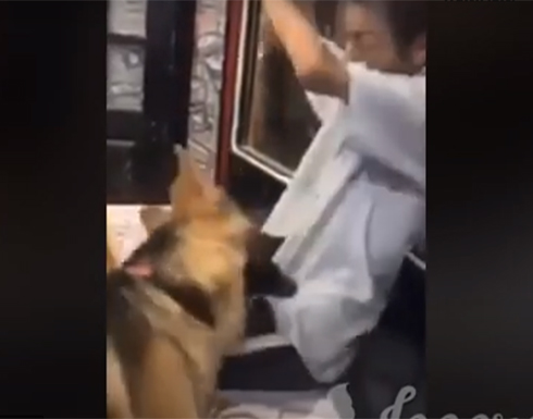 مصر.. شبان يثيرون ذعر مريض نفسي بكلب مفترس (فيديو) مصر.. شبان يثيرون ذعر مريض نفسي بكلب مفترس (فيديو)