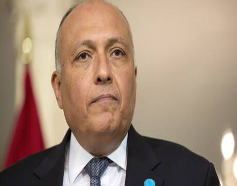 اتصال هاتفي بين وزير الخارجية المصري ونظيره في حكومة الوفاق الليبية اتصال هاتفي بين وزير الخارجية المصري ونظيره في حكومة الوفاق الليبية