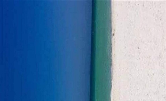 صورة تحير مستخدمي الانترنت.. باب أم شاطئ؟ صورة تحير مستخدمي الانترنت.. باب أم شاطئ؟