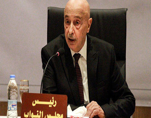 عقيلة صالح: ليبيا تحتاج دعم الجيش المصرى لمحاربة الإرهاب عقيلة صالح: ليبيا تحتاج دعم الجيش المصرى لمحاربة الإرهاب