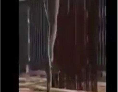 حمل ثعبان ضخم بونش من مبنى سكني.. فيديو حمل ثعبان ضخم بونش من مبنى سكني.. فيديو