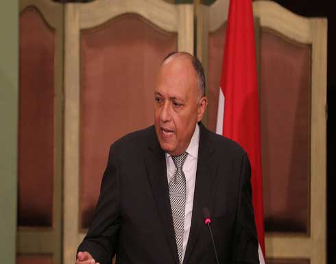 وزير الخارجية المصري يتجه إلى بيروت حاملا رسالة من السيسي إلى عون وزير الخارجية المصري يتجه إلى بيروت حاملا رسالة من السيسي إلى عون