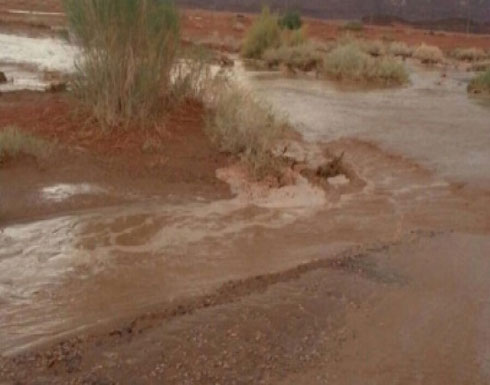 خبير : ادارة المخاطر ليست اولوية في الاردن خبير : ادارة المخاطر ليست اولوية في الاردن