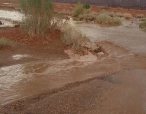 خبير : ادارة المخاطر ليست اولوية  في الاردن