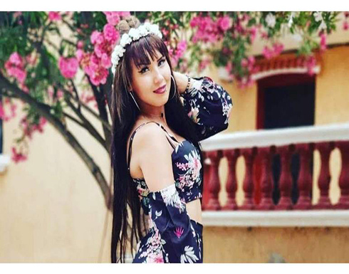 الحبس 18 شهرًا وغرامة 120 ألف دينار بحق فنانة شهيرة الحبس 18 شهرًا وغرامة 120 ألف دينار بحق فنانة شهيرة