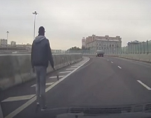 مطاردة قطة مرتبكة وسط طريق سريع مطاردة قطة مرتبكة وسط طريق سريع