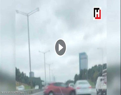 بالفيديو.. قطة تتسبب بحادث سير "مروع" بالفيديو.. قطة تتسبب بحادث سير "مروع"