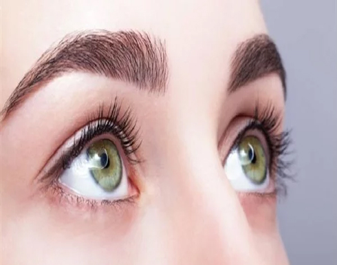 4 زيوت طبيعية تساعد على تكثيف الرموش والحواجب 4 زيوت طبيعية تساعد على تكثيف الرموش والحواجب
