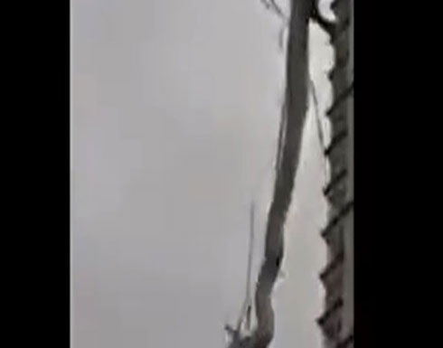 رجال الإطفاء يعثرون على ثعبان عملاق..فيديو رجال الإطفاء يعثرون على ثعبان عملاق..فيديو