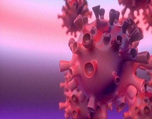903 متعافين من كورونا من أصل 1048 إصابة في تونس 903 متعافين من كورونا من أصل 1048 إصابة في تونس