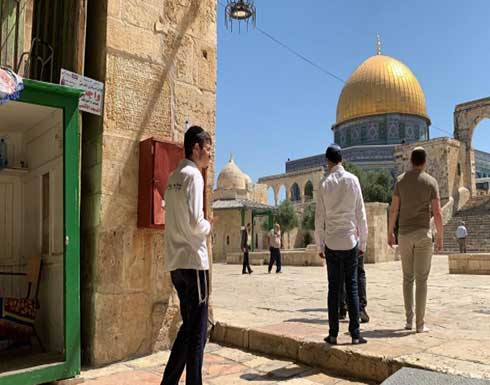 عشرات المستوطنين يقتحمون الأقصى وتقييدات على الفلسطينيين بساحاته .. بالفيديو عشرات المستوطنين يقتحمون الأقصى وتقييدات على الفلسطينيين بساحاته .. بالفيديو