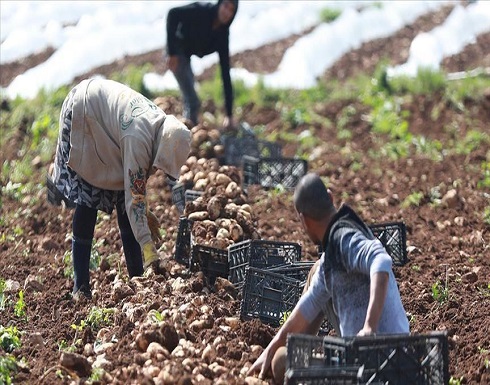 "الاحتلال " يتراجع عن قرار منع تصدير المنتجات الزراعية الفلسطينية