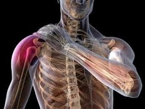 بالفيديو.. لقطات صادمة لشاب يخلع كتفه وزميله يعيده لمكانه بالفيديو.. لقطات صادمة لشاب يخلع كتفه وزميله يعيده لمكانه