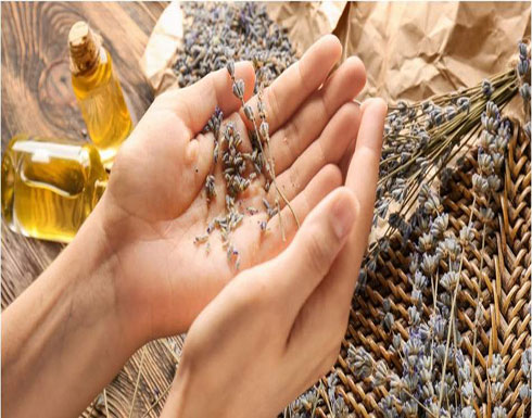 بعيدًا عن الأدوية.. زيت اللافندر أفضل علاج للقلق والتوتر! بعيدًا عن الأدوية.. زيت اللافندر أفضل علاج للقلق والتوتر!