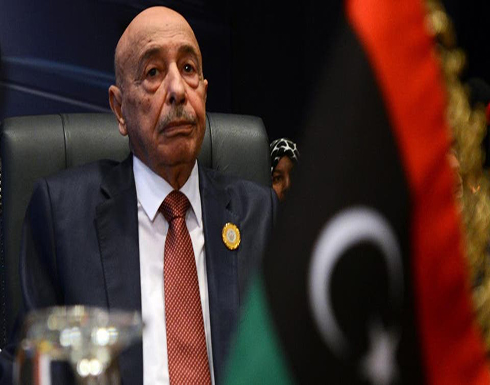 منطقة منزوعة السلاح تتصدر مباحثات عقيلة صالح بالقاهرة منطقة منزوعة السلاح تتصدر مباحثات عقيلة صالح بالقاهرة