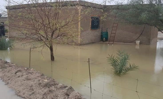 الاردن : مياه الامطار تحاصر بيوتا في دير علا الاردن : مياه الامطار تحاصر بيوتا في دير علا