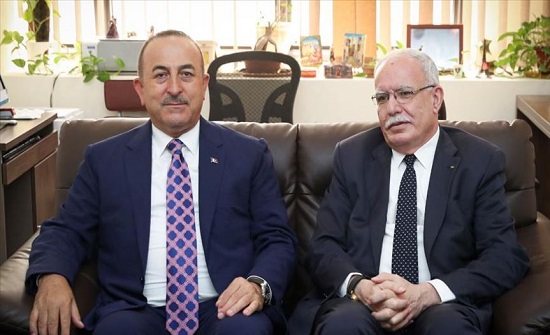 تشاووش أوغلو : سنواصل تعزيز تعاوننا مع الأردن تشاووش أوغلو : سنواصل تعزيز تعاوننا مع الأردن